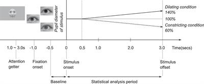 Face-Specific Pupil Contagion in Infants